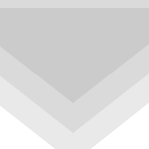 Corporate Membership - Silver